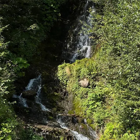 Maison d'hôtes у софійки