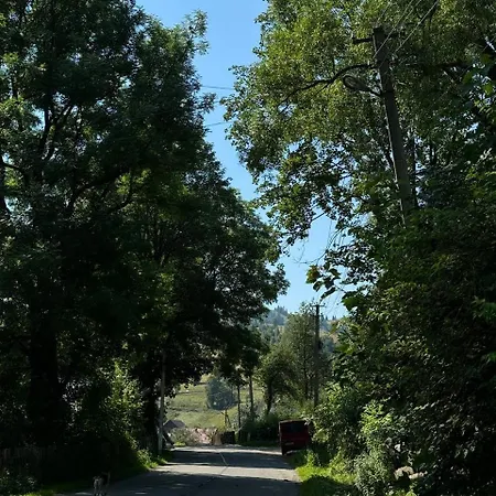 у софійки Synevyrsʼka Polyana