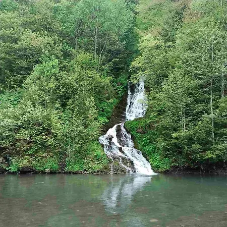 у софійки Maison d'hôtes Synevyrsʼka Polyana